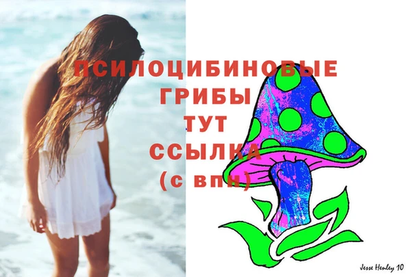 сатива Каменск-Шахтинский