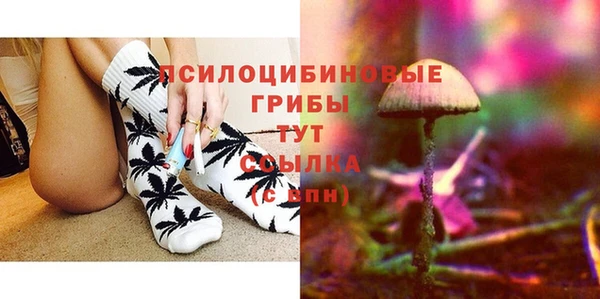 спиды Касимов