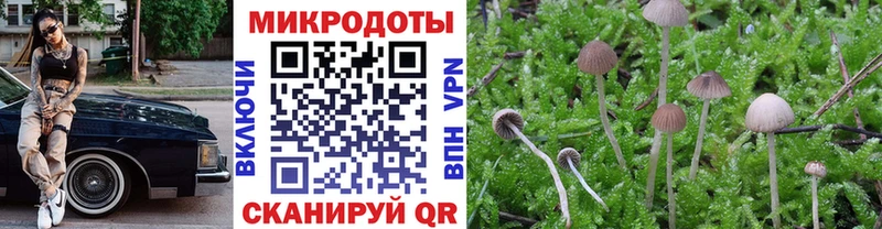 Галлюциногенные грибы прущие грибы  Кириллов 